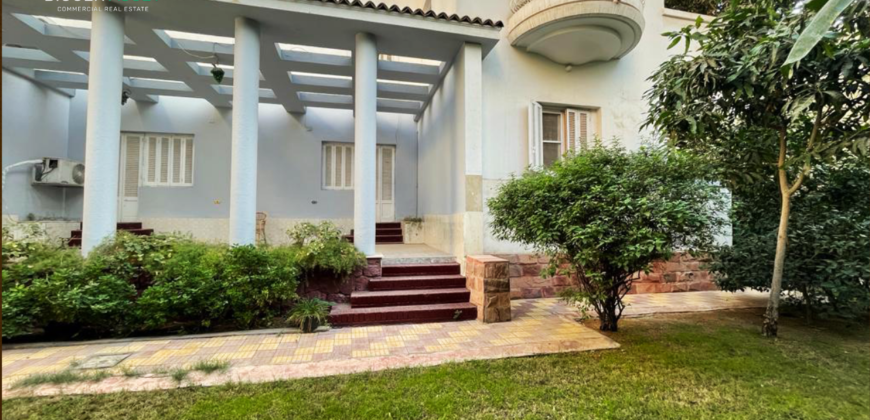 Finished Workspace for Companies Seeking Stability in Maadi