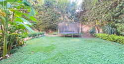 Admin Villa for rent in Maadi – Modern workspace