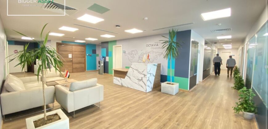 Modern office space for rent in Maadi – Perfect for growing teams