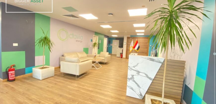 Modern office space for rent in Maadi – Perfect for growing teams