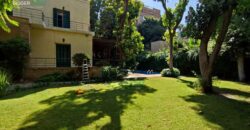 Villa available for rent in Maadi with easy access
