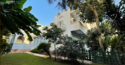 Finished Workspace for Companies Seeking Stability in Maadi