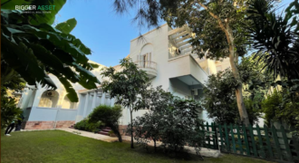 Finished Workspace for Companies Seeking Stability in Maadi