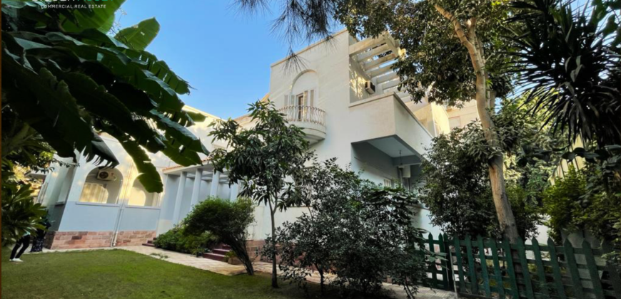 Finished Workspace for Companies Seeking Stability in Maadi