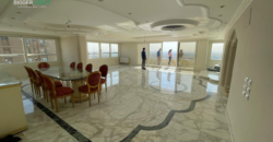 Finished Workspace for Companies Seeking Stability in Maadi