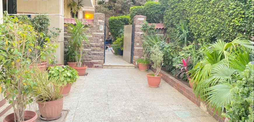Professional Workspace Available in Maadi with Easy Access